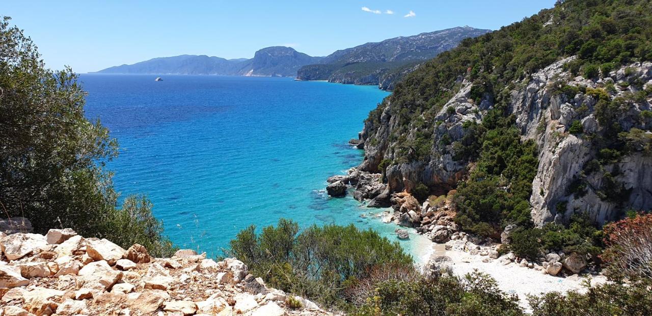B&B Cala Luna Cala Gonone Dış mekan fotoğraf